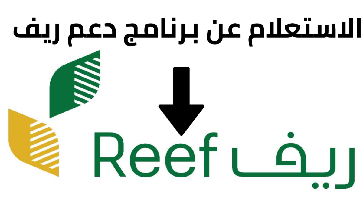 رابط مباشر.. الاستعلام عن دعم ريف 1446 برقم الهوية عبر النفاذ الوطني الموحد