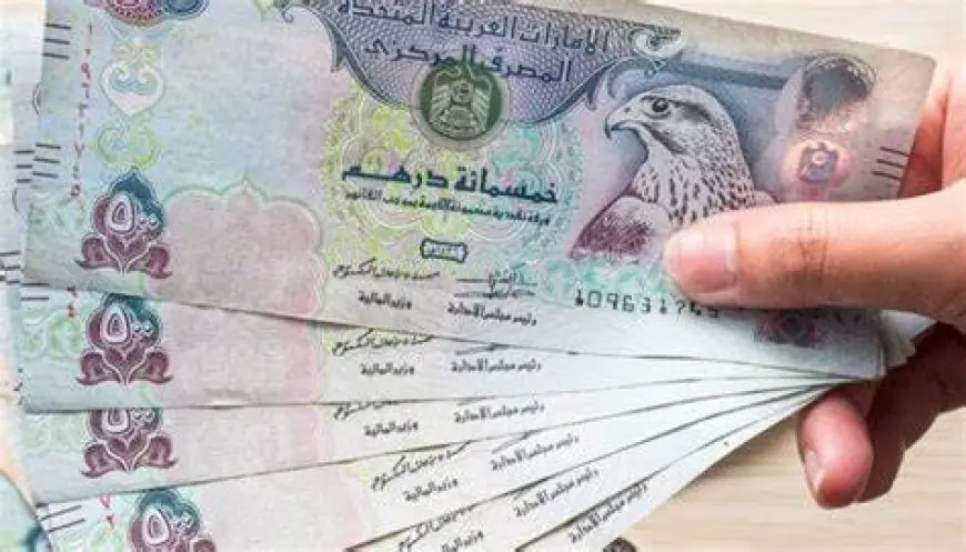 “لو  هتسافر أبو ظبي” سعر الدرهم الإماراتي في السوق السوداء اليوم الثلاثاء الموافق 24 ديسمبر 2024