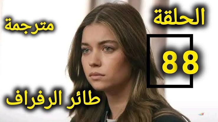 موعد عرض مسلسل طائر الرفراف الحلقه 88 علي قناة Star TV و MBC 4 بجودة عالية