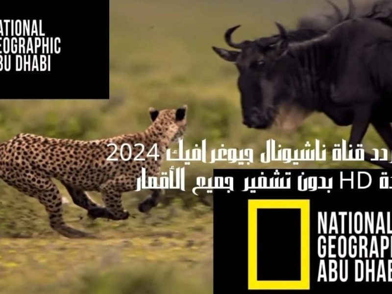 حدثها فوراً.. تردد قناة ناشيونال جيوغرافيك national geographic علي النايل سات وعرب سات بجودة فائقة  HD