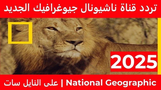 استقبل .. تردد قناة ناشيونال جيوغرافيك  National Geographic لمُتابعة أروع الوثائقيات بجودة عالية HD