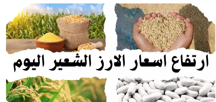 بكام الرفيعة.. أسعار الأرز الشعير في السوق المصري اليوم الخميس 16 يناير 2025 وأسعار السلع الغذائية الأساسية