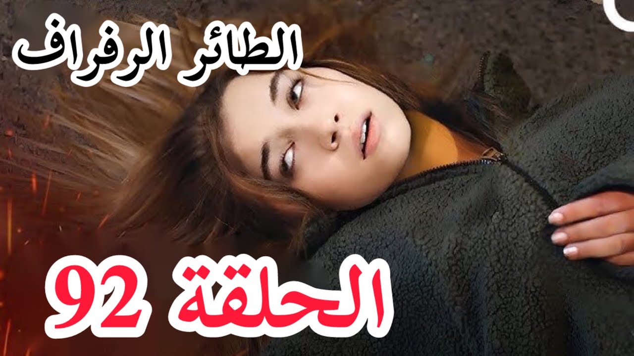 بجودة HD.. مسلسل الطائر الرفراف الحلقة 92 مترجمه وكامله عبر Star TV 