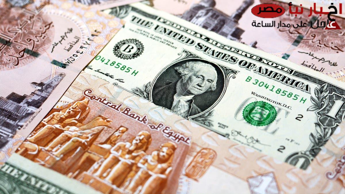 “ارتفاع مفاجئ”سعر الدولار مقابل الجنيه المصري الجمعة 14-2-2025 بالبنوك والسوق السوداء