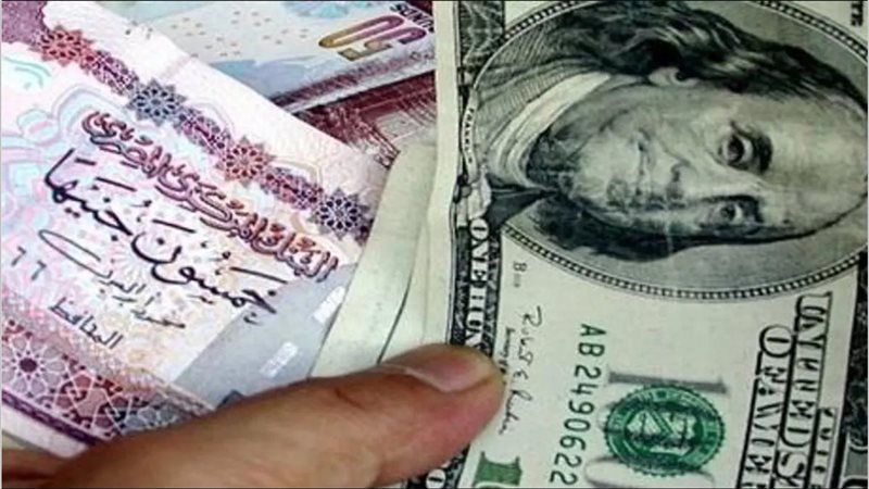 استقرار سعر الدولار اليوم الثلاثاء 4 فبراير 2025 أمام الجنيه المصري في السوق السوداء والبنوك المصرية