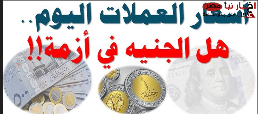 هبوط الدولار والريال: أسعار العملات اليوم في السوق السوداء في مصر مقابل الجنيه