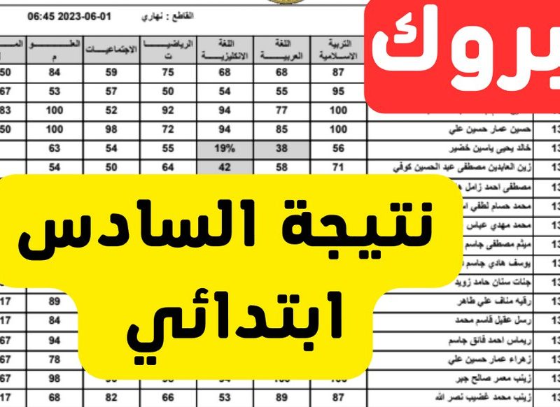 متاح من هنا استعلام عن نتائج السادس الابتدائي 2025 الدور التمهيدي إلكترونيا عبر موقع نتائجنا