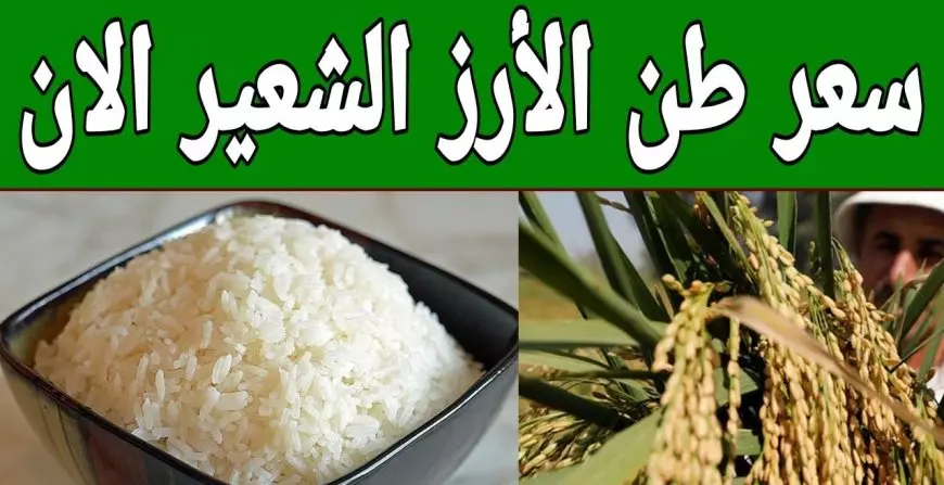 قرب شهر رمضان.. سعر طن الأرز الشعير اليوم 14 فبراير 2025 والسلع الأساسية في الأسواق المصرية