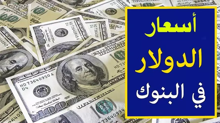 أعلي سعر الدولار مقابل الجنيه المصري بالسوق السوداء والبنوك اليوم 15 فبراير 2025 لحظي