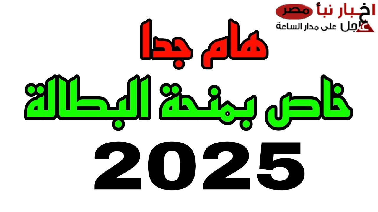 طريقة التسجيل في منحة البطالة بالجزائر 2025 واهم شروط الحصول على الدعم