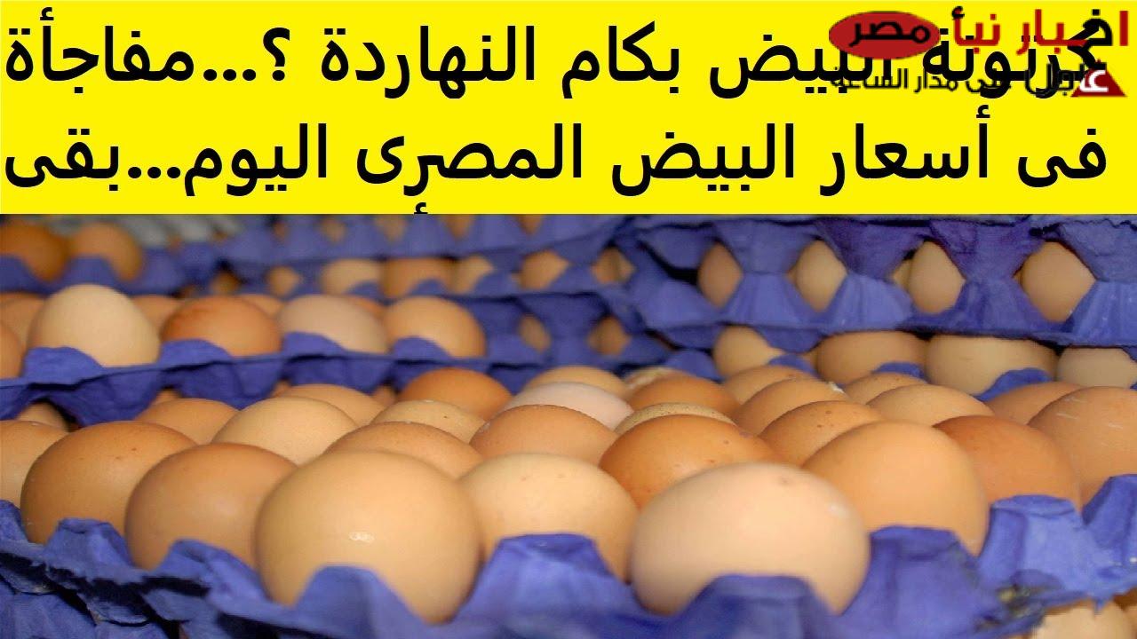 (احمر وابيض وبلدي) سعر كرتونة البيض اليوم للمستهلك في الأسواق المصرية