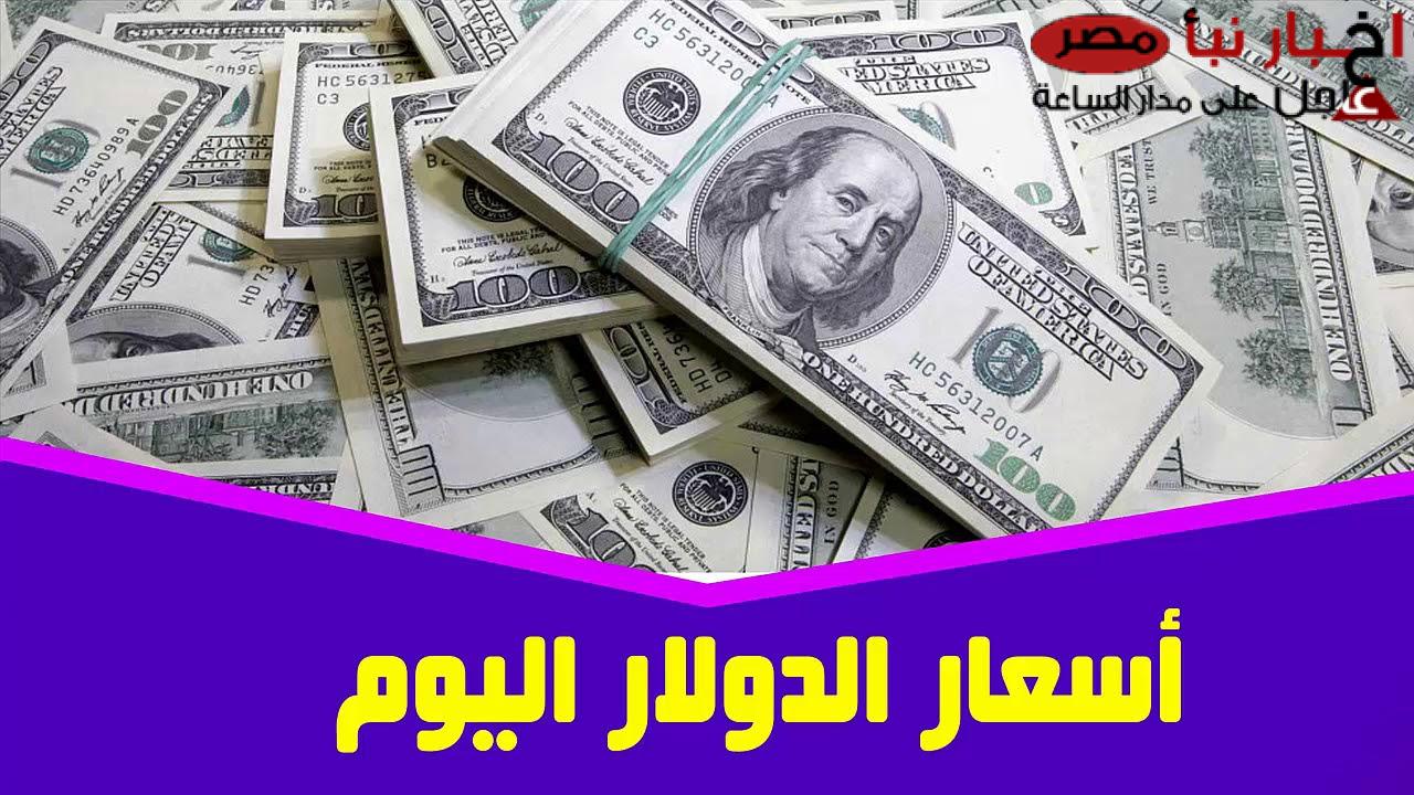 ارتفاع سعر الدولار اليوم مقابل الجنيه المصري الإثنين 17 فبراير 2025 في السوق السوداء والبنوك