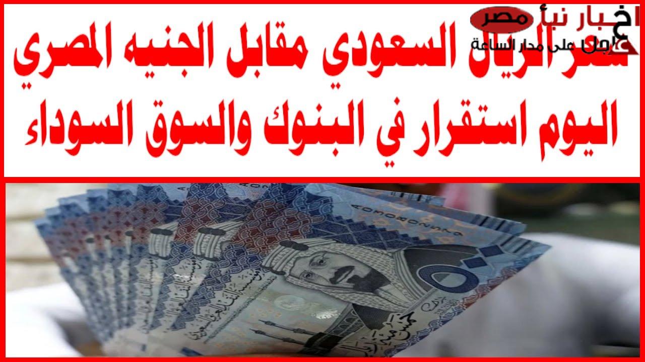 استقرار سعر الريال السعودي مقابل الجنيه المصري في السوق السوداء اليوم 16 فبراير 2025 اخر تحديث