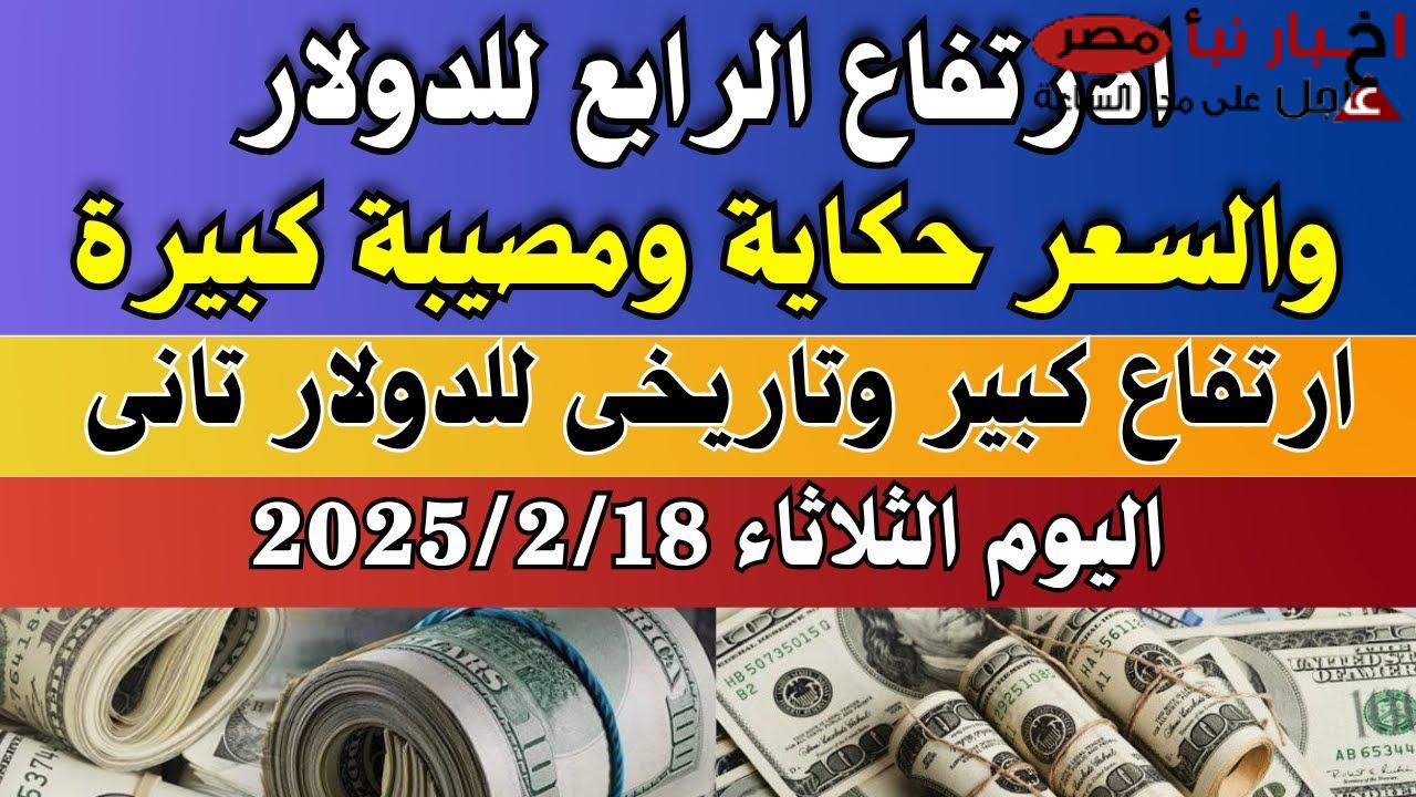 سعر الدولار مقابل الجنيه المصري اليوم الثلاثاء 18 فبراير 2025 في السوق السوداء والبنوك