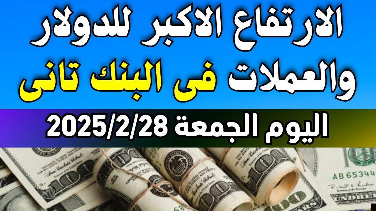 لحظيا.. أسعار العملات في السوق السوداء في مصر اليوم الجمعة 28 فبراير 2025 وفي البنوك