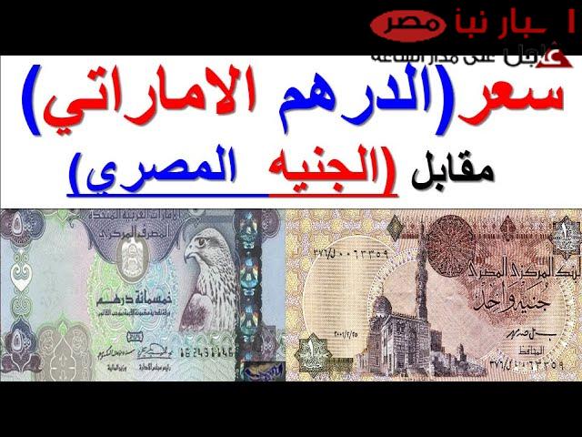 استقرار سعر الدرهم الاماراتي مقابل الجنيه المصري اليوم 18 فبراير 2025 في البنوك المحلية