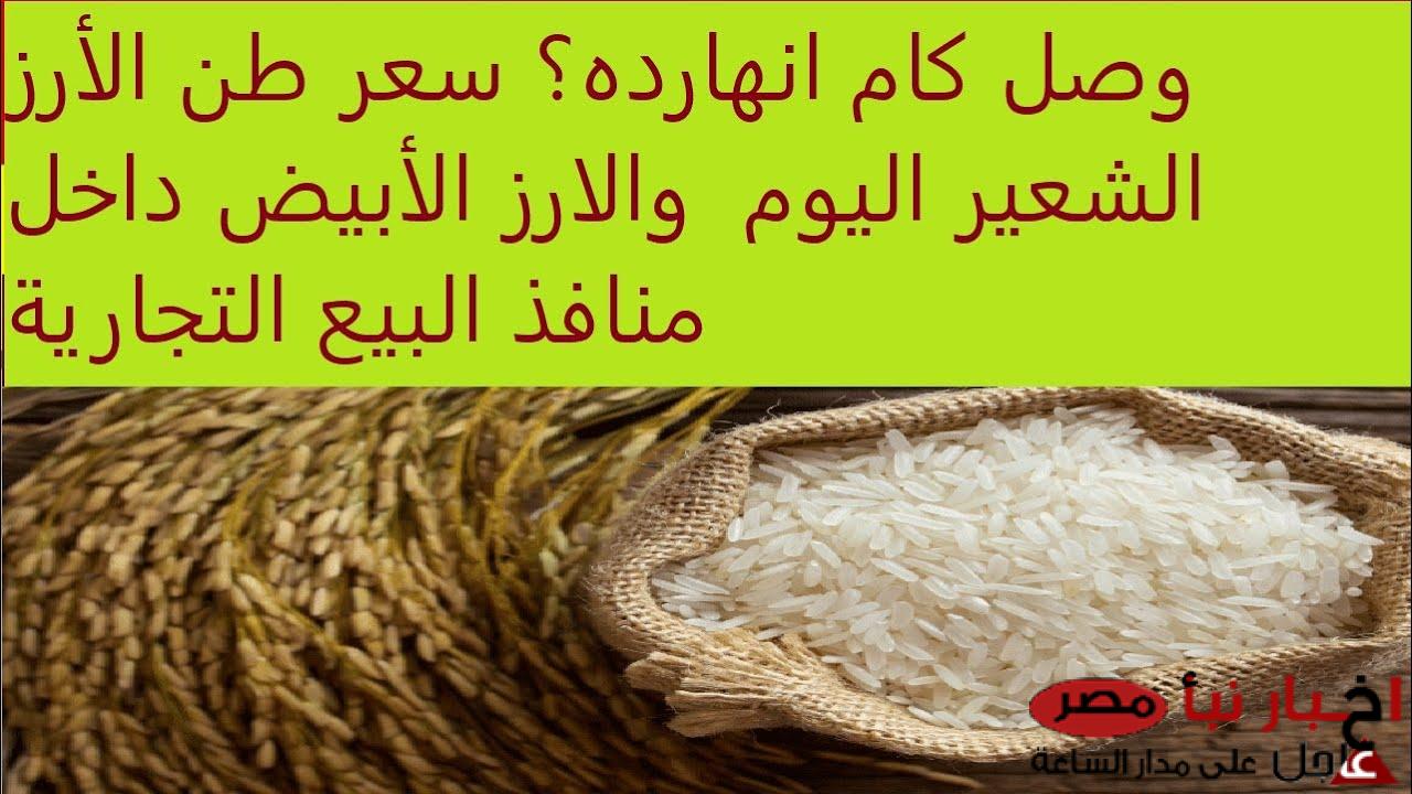 شُعبة الأرز تُعلن سعر طن الأرز الشعير اليوم للمستهلكين والتجار في مصر