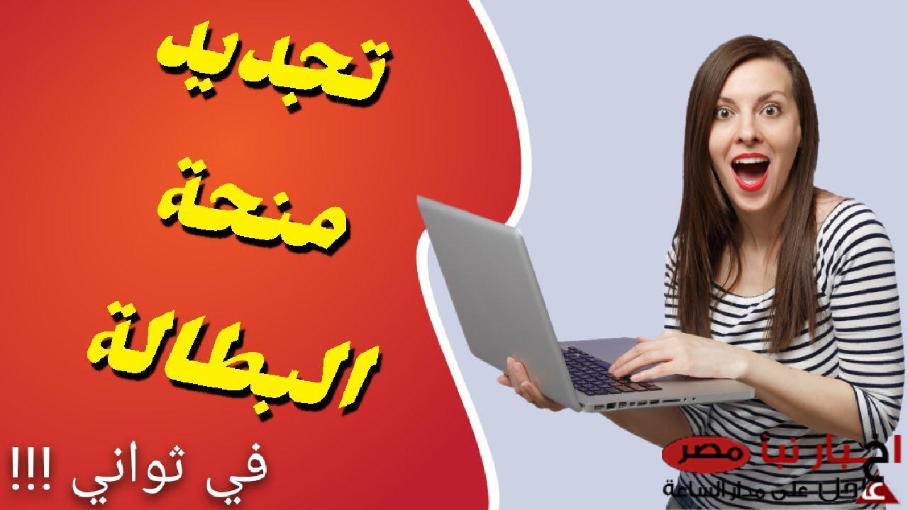 خطوات تجديد منحة البطالة إلكترونيًا من خلال الرابط الرسمي anem.dz بأهم الشروط