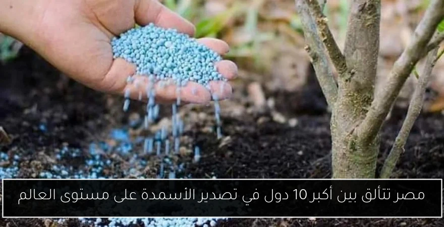 مصر تتألق بين أكبر 10 دول في تصدير الأسمدة على مستوى العالم