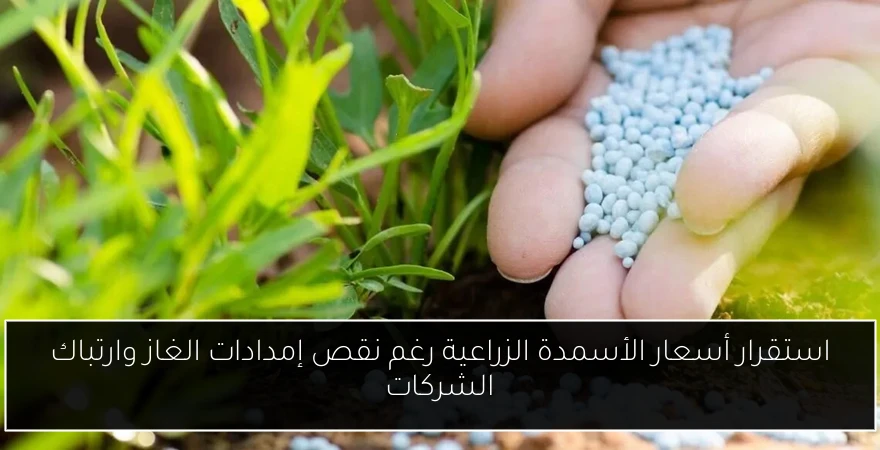 استقرار أسعار الأسمدة الزراعية رغم نقص إمدادات الغاز وارتباك الشركات