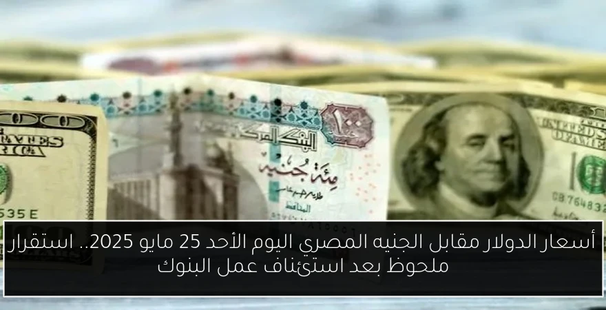 أسعار الدولار مقابل الجنيه المصري اليوم الأحد 25 مايو 2025.. استقرار ملحوظ بعد استئناف عمل البنوك