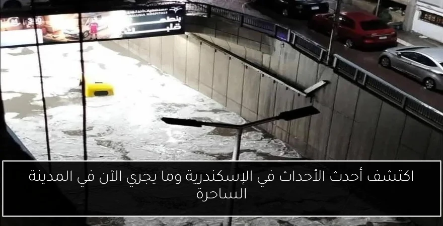 اكتشف أحدث الأحداث في الإسكندرية وما يجري الآن في المدينة الساحرة