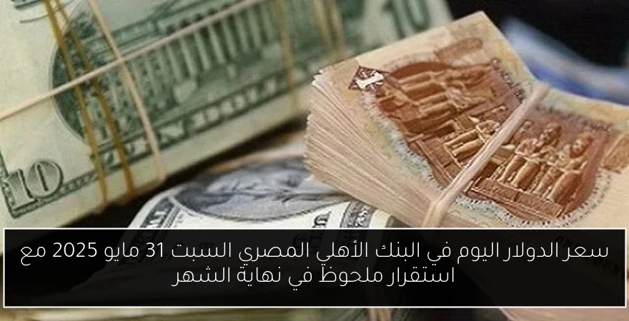 سعر الدولار اليوم في البنك الأهلي المصري السبت 31 مايو 2025 مع استقرار ملحوظ في نهاية الشهر