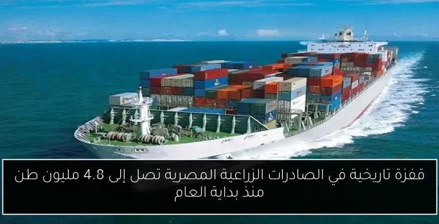 قفزة تاريخية في الصادرات الزراعية المصرية تصل إلى 4.8 مليون طن منذ بداية العام