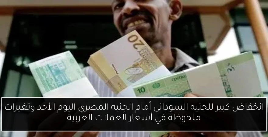 انخفاض كبير للجنيه السوداني أمام الجنيه المصري اليوم الأحد وتغيرات ملحوظة في أسعار العملات العربية