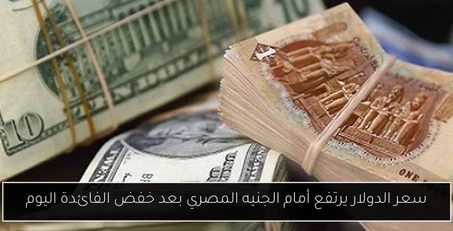 سعر الدولار يرتفع أمام الجنيه المصري بعد خفض الفائدة اليوم