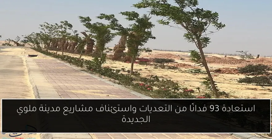 استعادة 93 فدانًا من التعديات واستئناف مشاريع مدينة ملوي الجديدة