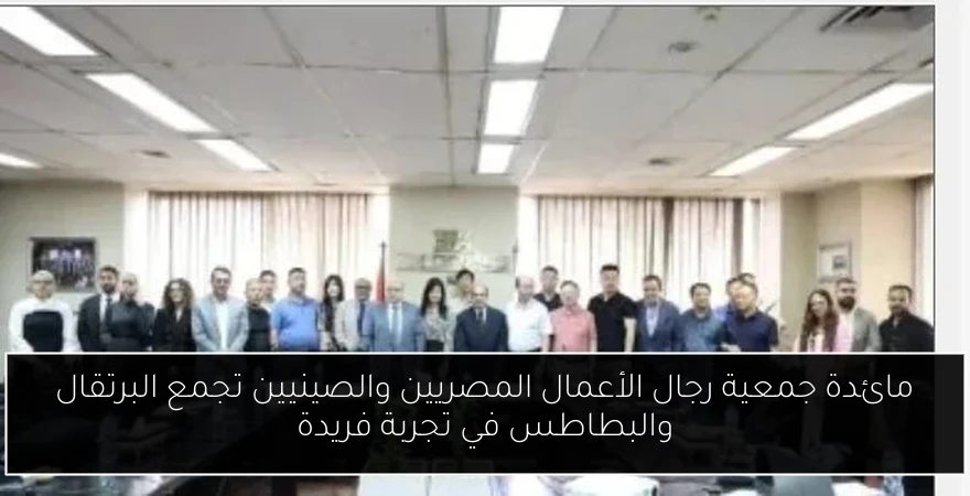 مائدة جمعية رجال الأعمال المصريين والصينيين تجمع البرتقال والبطاطس في تجربة فريدة