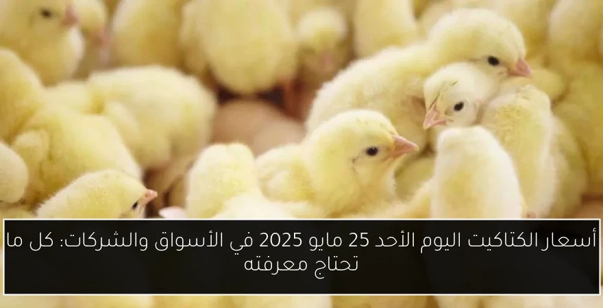 أفورقي يوجه انتقادات لإثيوبيا ورئيس أركان الجيش السابق يؤكد inevitability الحرب مع إريتريا