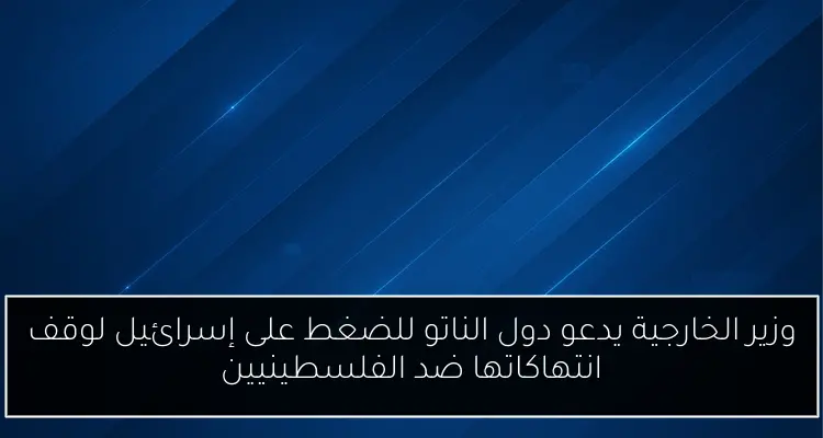 وزير الخارجية يدعو دول الناتو للضغط على إسرائيل لوقف انتهاكاتها ضد الفلسطينيين