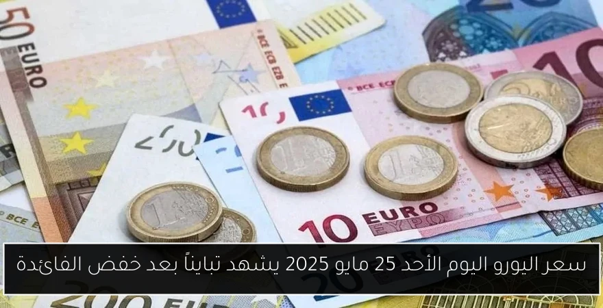 سعر اليورو اليوم الأحد 25 مايو 2025 يشهد تبايناً بعد خفض الفائدة