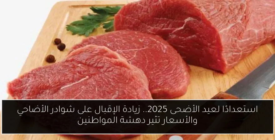 استعدادًا لعيد الأضحى 2025.. زيادة الإقبال على شوادر الأضاحي والأسعار تثير دهشة المواطنين