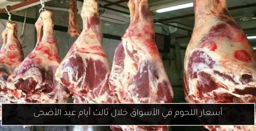 أسعار اللحوم في الأسواق خلال ثالث أيام عيد الأضحى