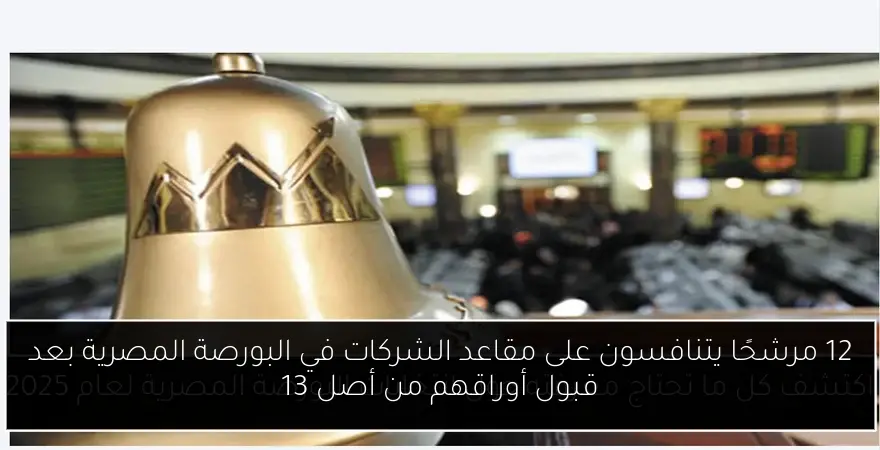 12 مرشحًا يتنافسون على مقاعد الشركات في البورصة المصرية بعد قبول أوراقهم من أصل 13