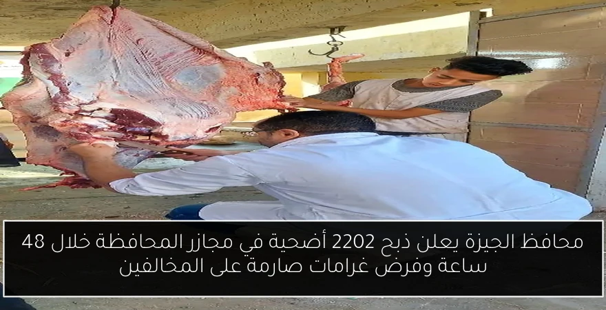 محافظ الجيزة يعلن ذبح 2202 أضحية في مجازر المحافظة خلال 48 ساعة وفرض غرامات صارمة على المخالفين