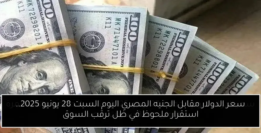 سعر الدولار مقابل الجنيه المصري اليوم السبت 28 يونيو 2025.. استقرار ملحوظ في ظل ترقب السوق