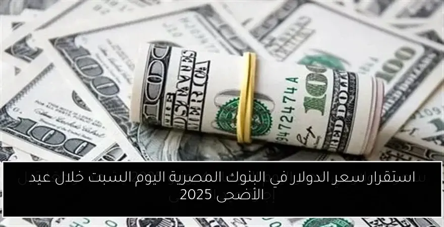 استقرار سعر الدولار في البنوك المصرية اليوم السبت خلال عيد الأضحى 2025