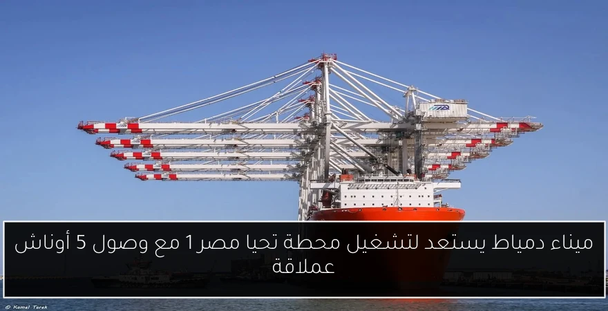 ميناء دمياط يستعد لتشغيل محطة تحيا مصر 1 مع وصول 5 أوناش عملاقة