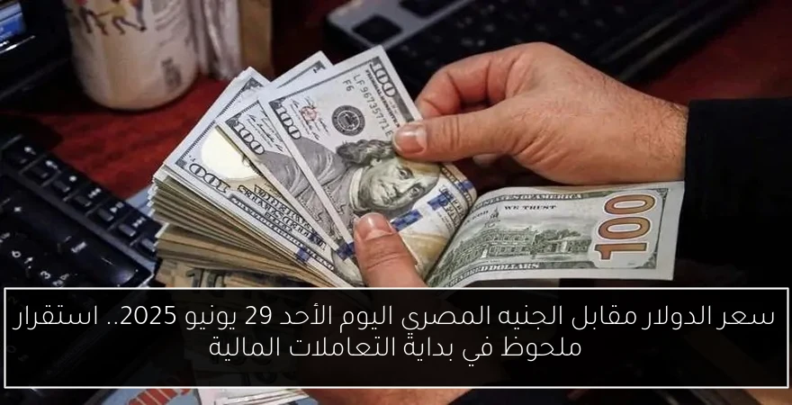 سعر الدولار مقابل الجنيه المصري اليوم الأحد 29 يونيو 2025.. استقرار ملحوظ في بداية التعاملات المالية