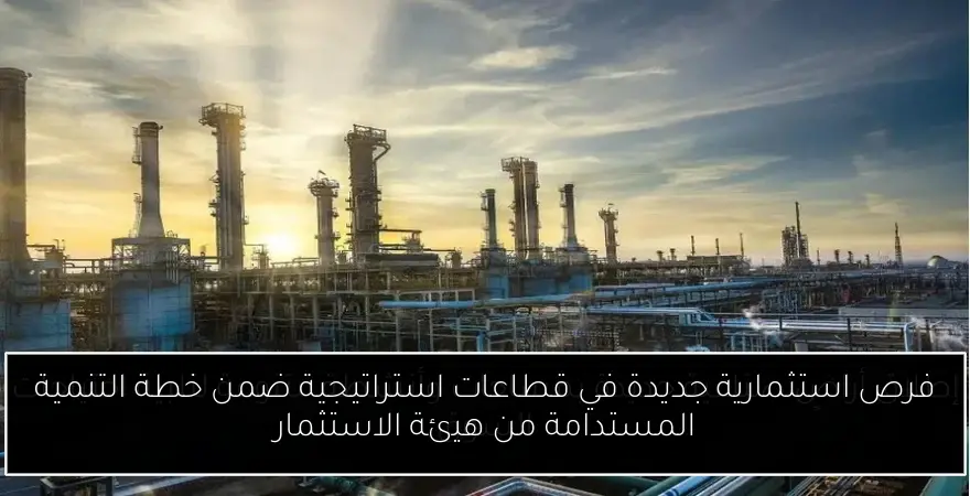 فرص استثمارية جديدة في قطاعات استراتيجية ضمن خطة التنمية المستدامة من هيئة الاستثمار