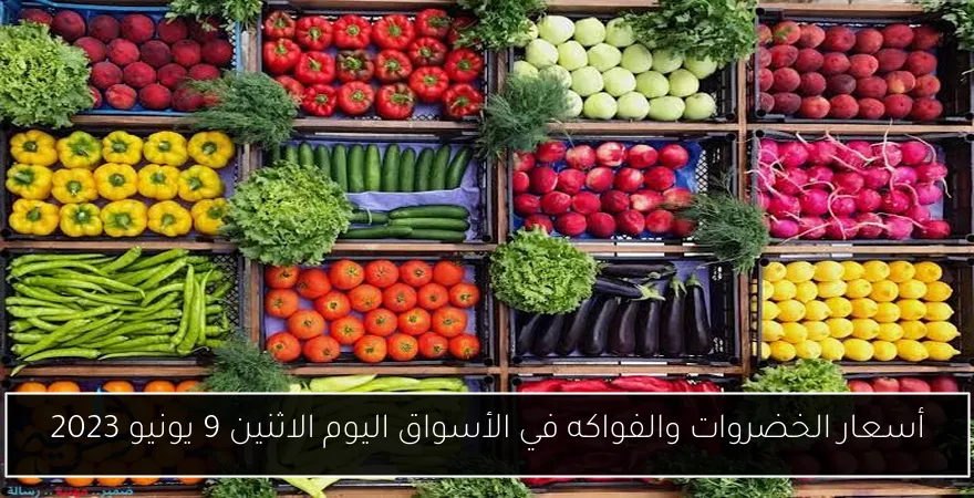 أسعار الخضروات والفواكه في الأسواق اليوم الاثنين 9 يونيو 2023