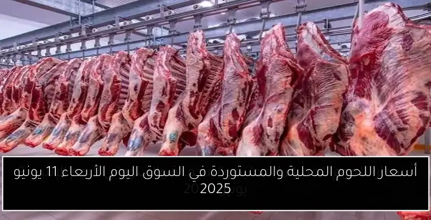 أسعار اللحوم المحلية والمستوردة في السوق اليوم الأربعاء 11 يونيو 2025