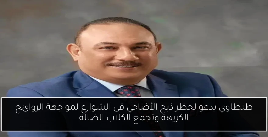 طنطاوي يدعو لحظر ذبح الأضاحي في الشوارع لمواجهة الروائح الكريهة وتجمع الكلاب الضالة