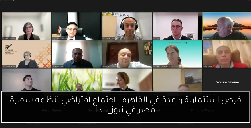 فرص استثمارية واعدة في القاهرة.. اجتماع افتراضي تنظمه سفارة مصر في نيوزيلندا