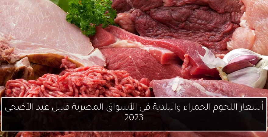 أسعار اللحوم الحمراء والبلدية في الأسواق المصرية قبيل عيد الأضحى 2023