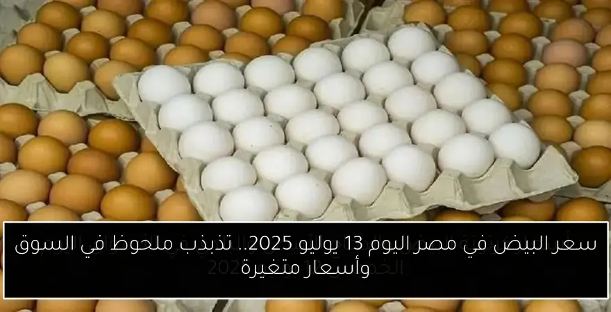 سعر البيض في مصر اليوم 13 يوليو 2025.. تذبذب ملحوظ في السوق وأسعار متغيرة